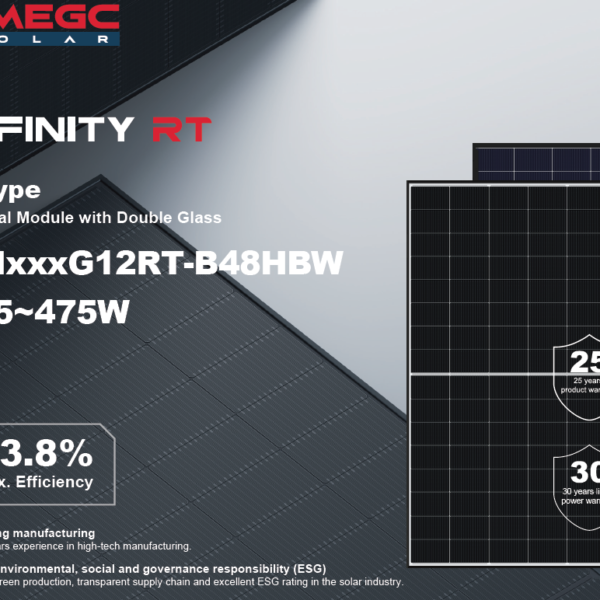 Panou solar DMEGC DM460G12RT-B48HBW bifacial